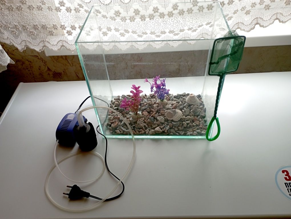 Новый аквариум .