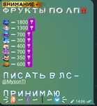 Фрукты blox fruits/блокс фрукт