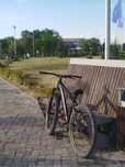 MTB street dirt 26