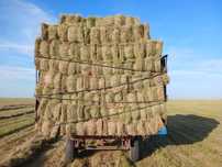 Продам сено в тюках