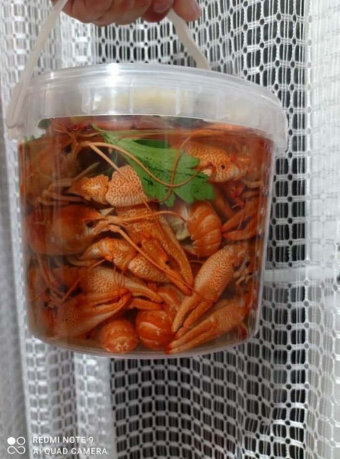Горячие Вкусные Раки