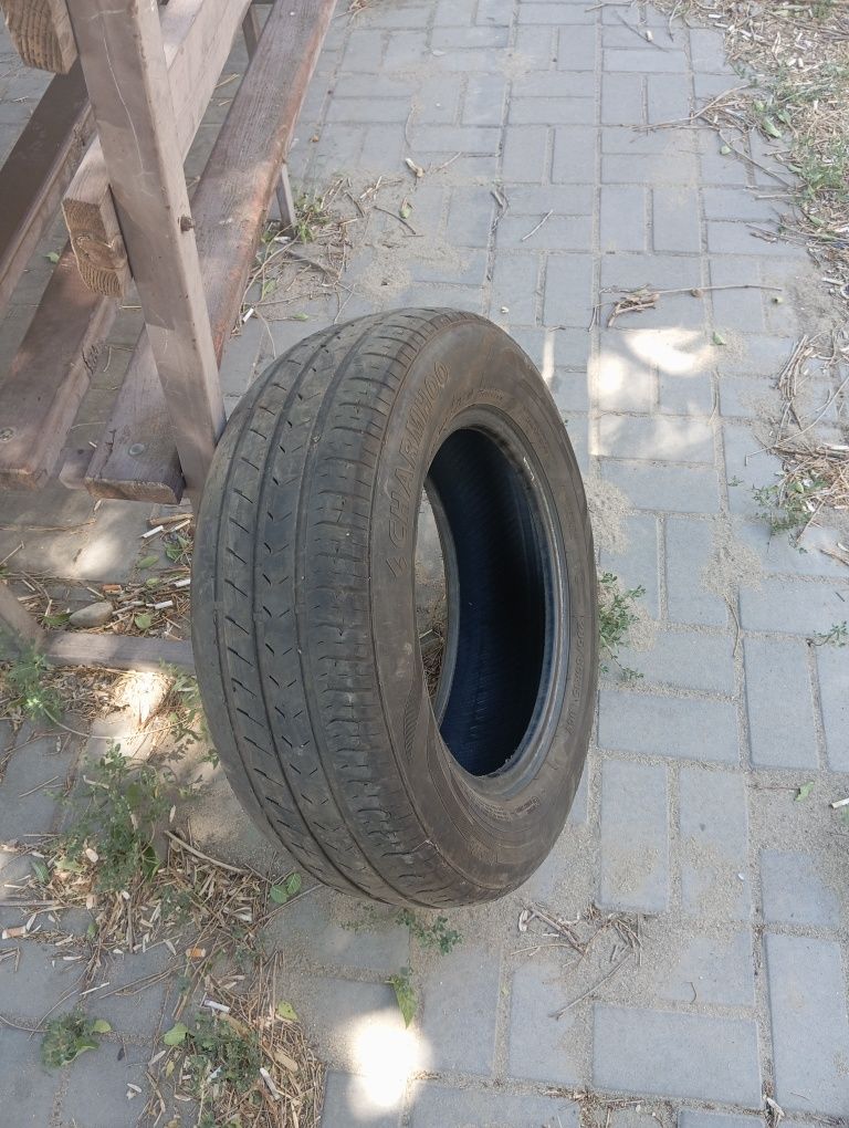 Шина 1 штук донгелек