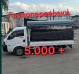 Жук тасымалдау 24.7
