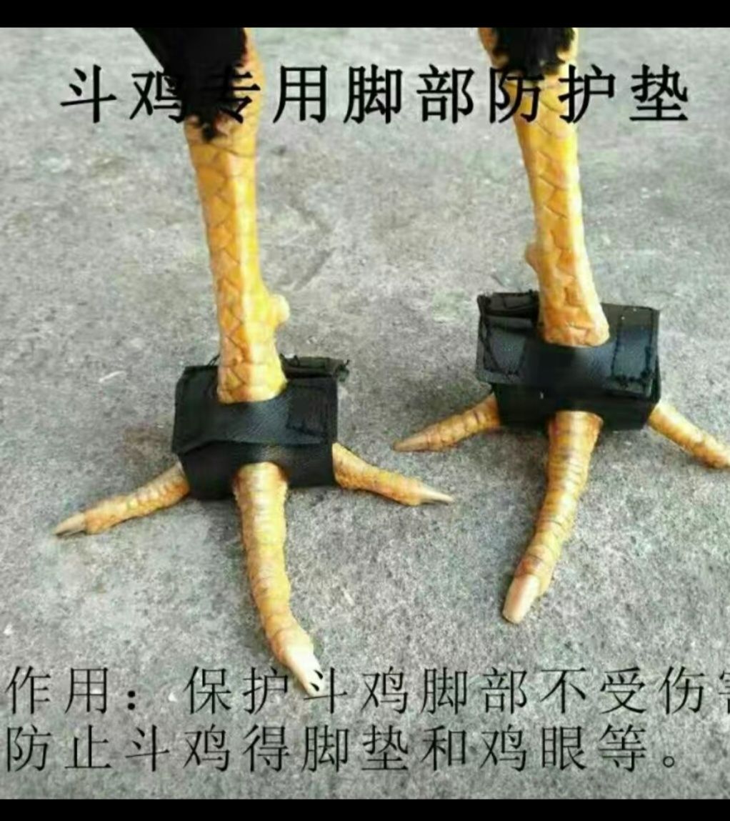 Клетка  для Петуха
