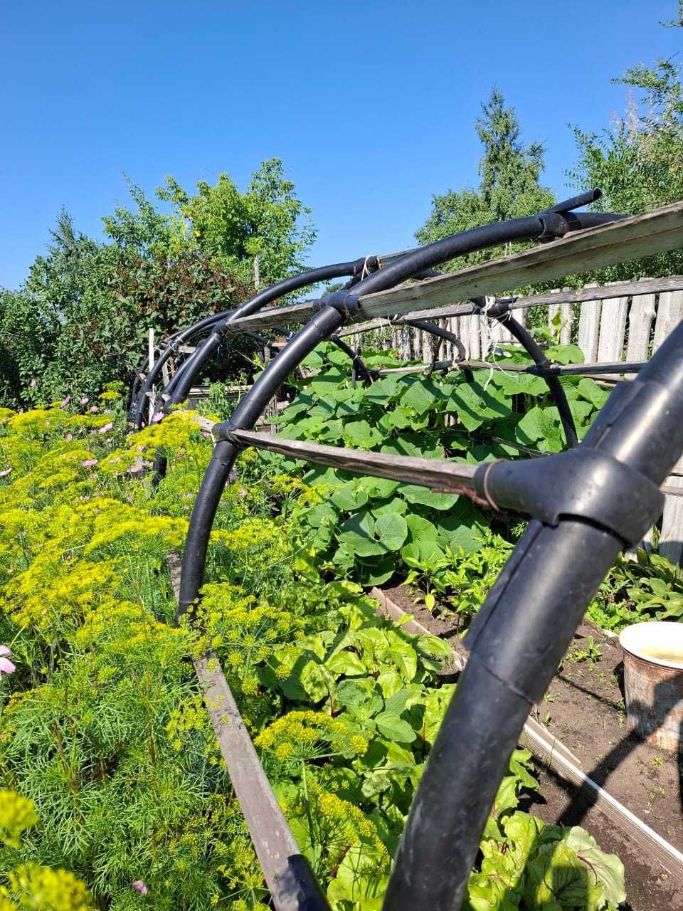 Продам дачу 4 сотки