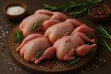 Перепелиное мясо копчёное — натуральное копчение, изысканный вкус