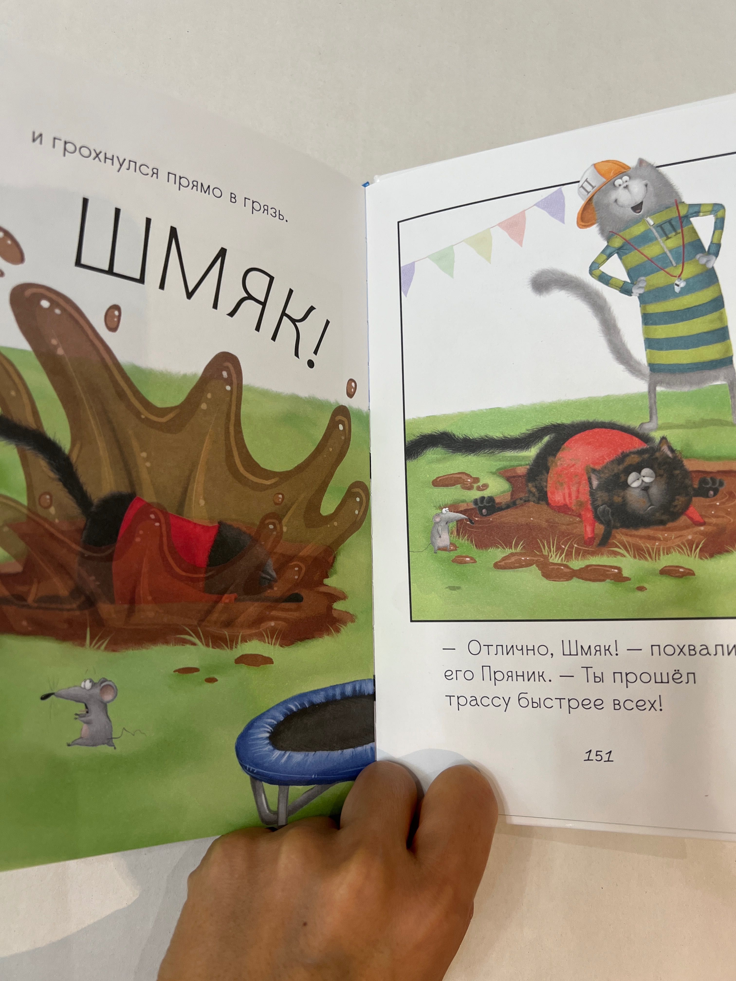 Книга  Котенок Шмяк и Сырник
