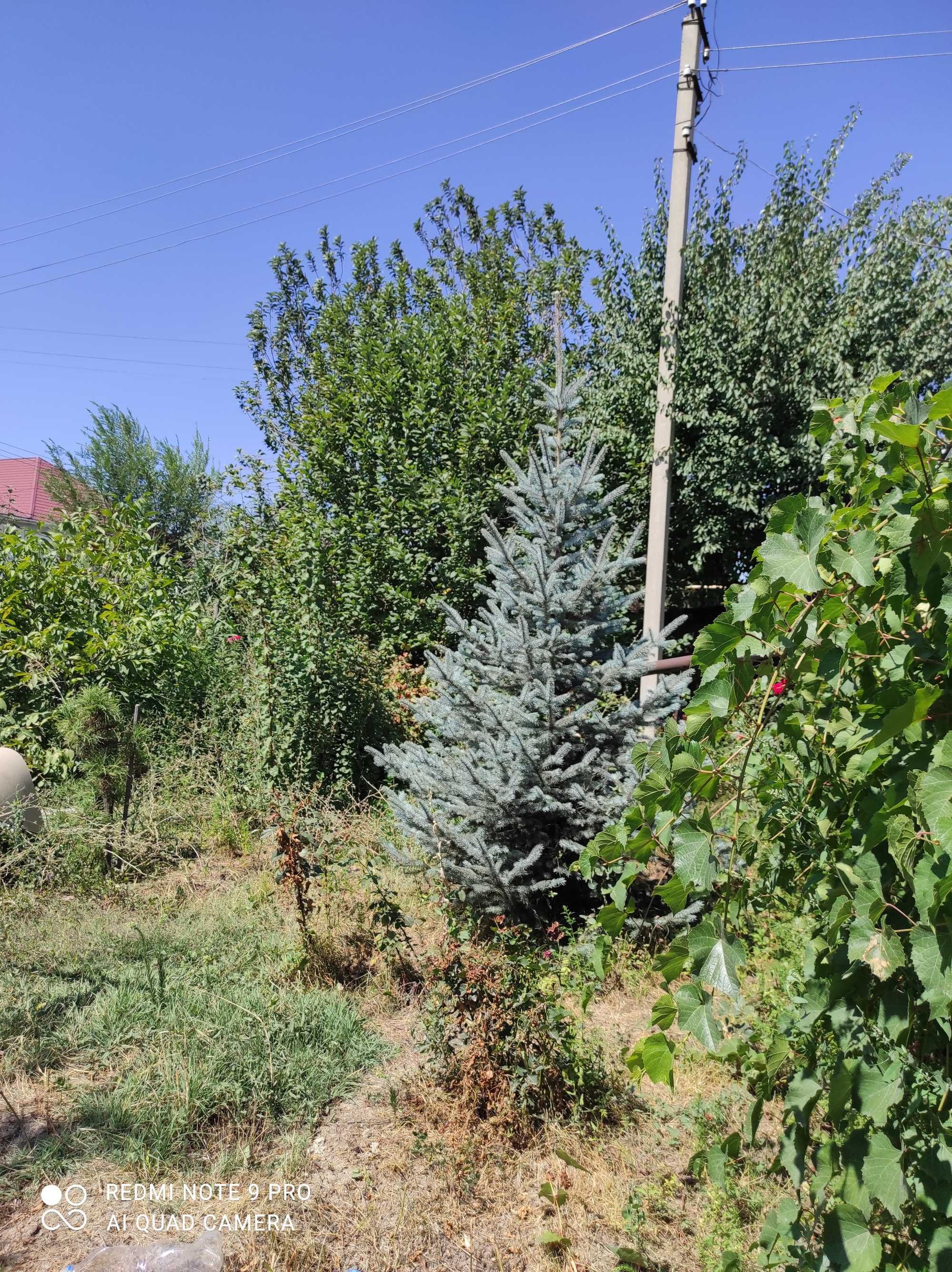 Продам 5-комн. дом 78,8 кв.метров. 15 соток.