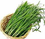 Джусай (корейский лук) продам