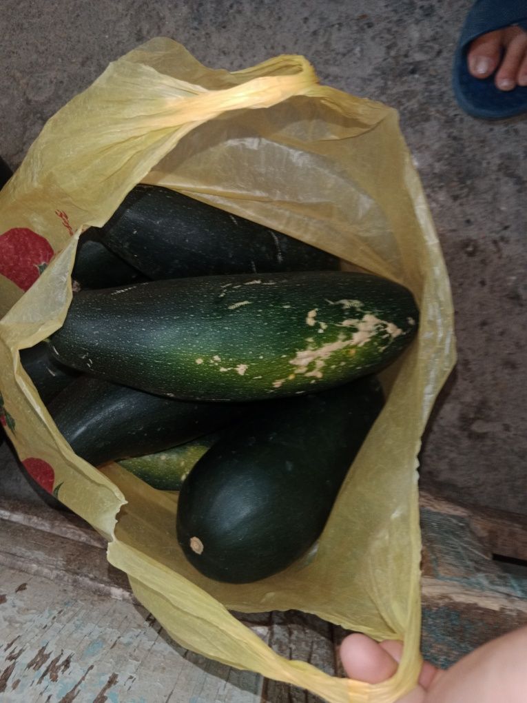 Кобачки продаю вкусные