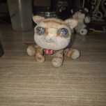 Любимый Котенок Рыжик