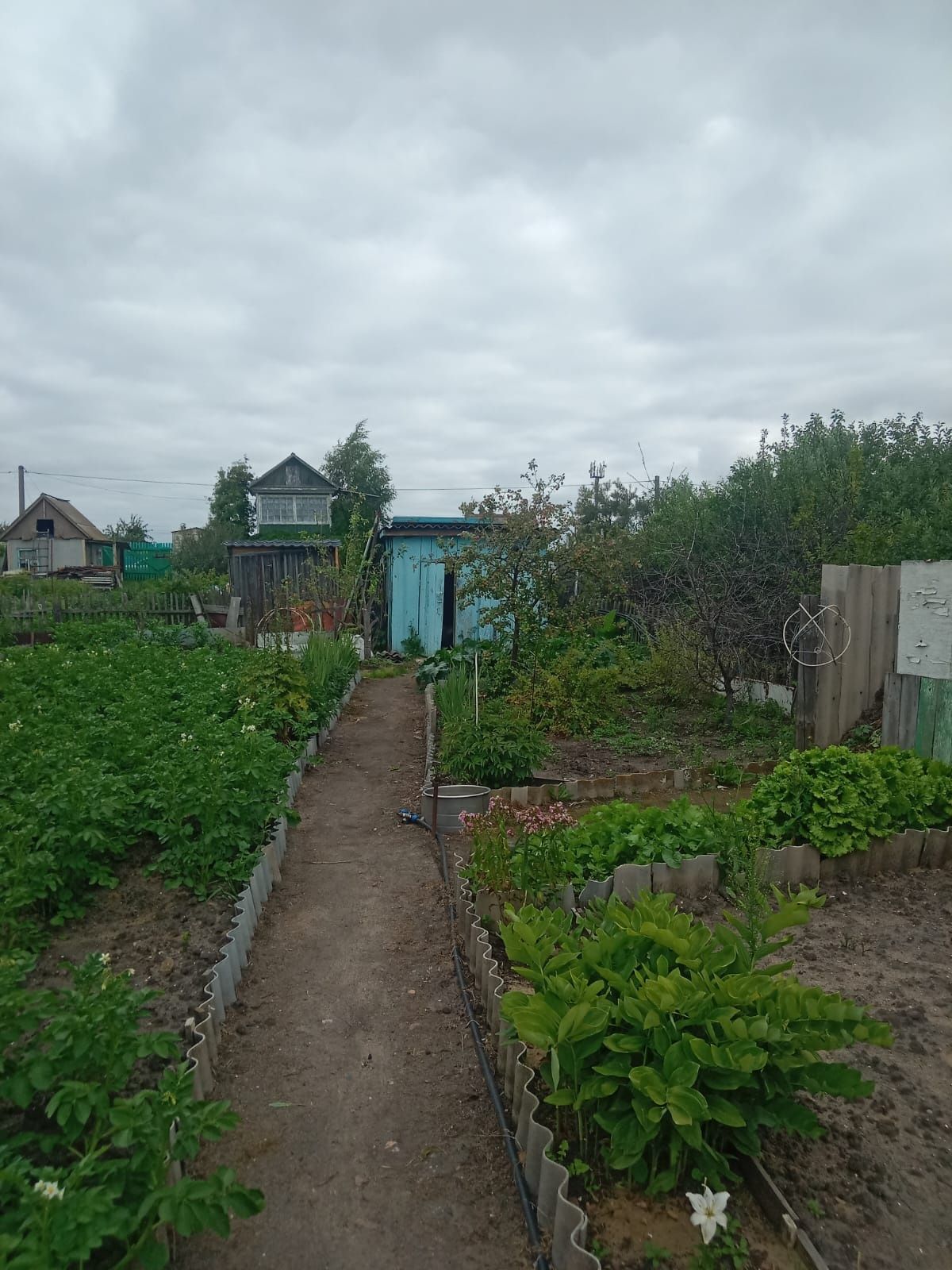 Продам Дачу, Остоновка Поворотная, есть душ, электричество, вода