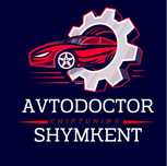 Авто прошивка чип тюнинг