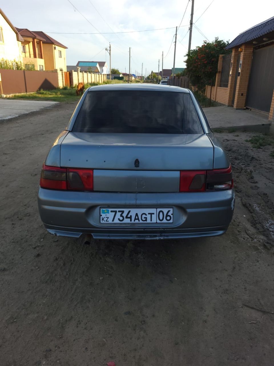 Таза казак. На ходу