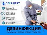 Дезинфекция Дезинсекция дератизация клоп таракан жук коред
