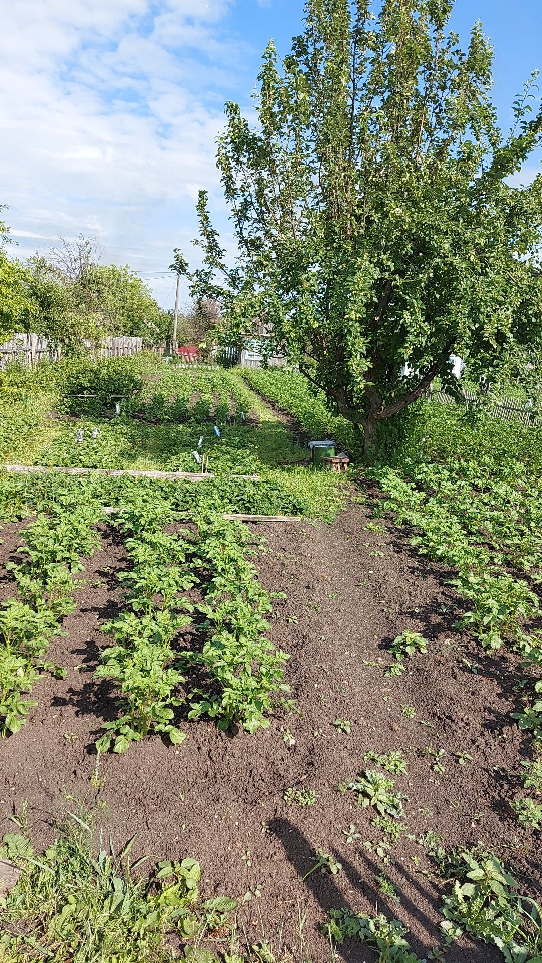 Продаю дачу по улице Вишневая