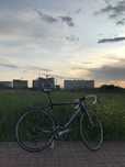 Cannondale evo (Carbon)
