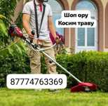 Покос травы бензотриммером
