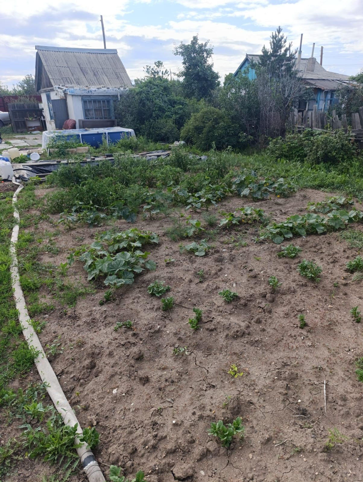Продаю дачу на ДСК