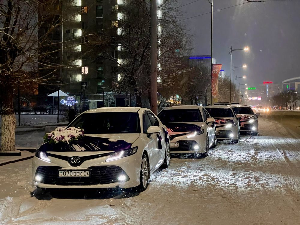 Выписка из роддома Кортеж Гулянка Свадьба Трансфер Той Роддом Кортедж