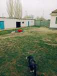 Айша бибі ауылында үлкен жер үй сатамын