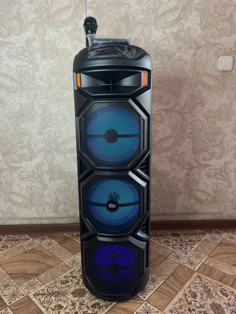 Колонка караоке 60 ватт доставка 24/7