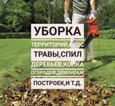 Уборка территорий,помощь на даче, разнорабочие, спил деревьев, копка.