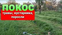 Покос травы. Стрижка газона. Разнотравие.  Покос Скос
