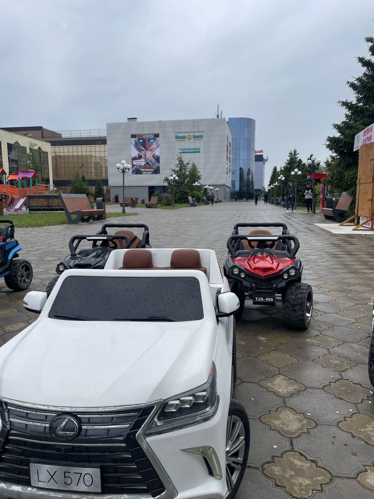 Продам повелен большой