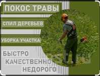 Покос травы триммером недорого