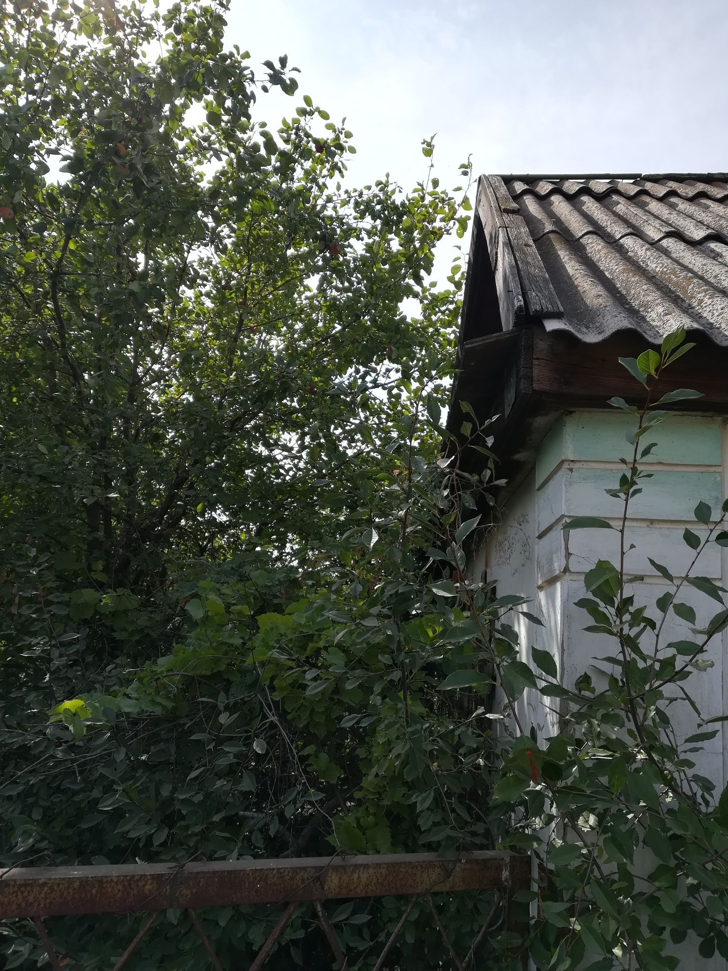Дачный участок в обществе Локомотив