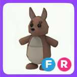 Продам кенгуру фр(Kangaroo fr)