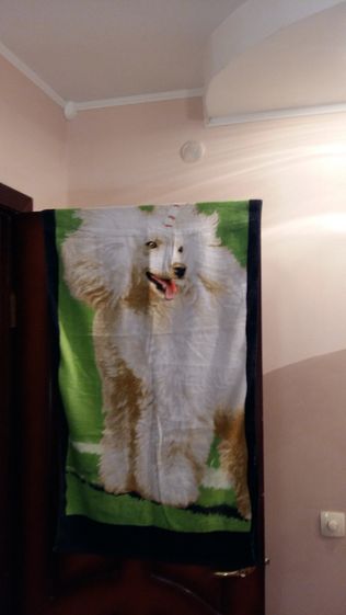 Пляжное полотенце