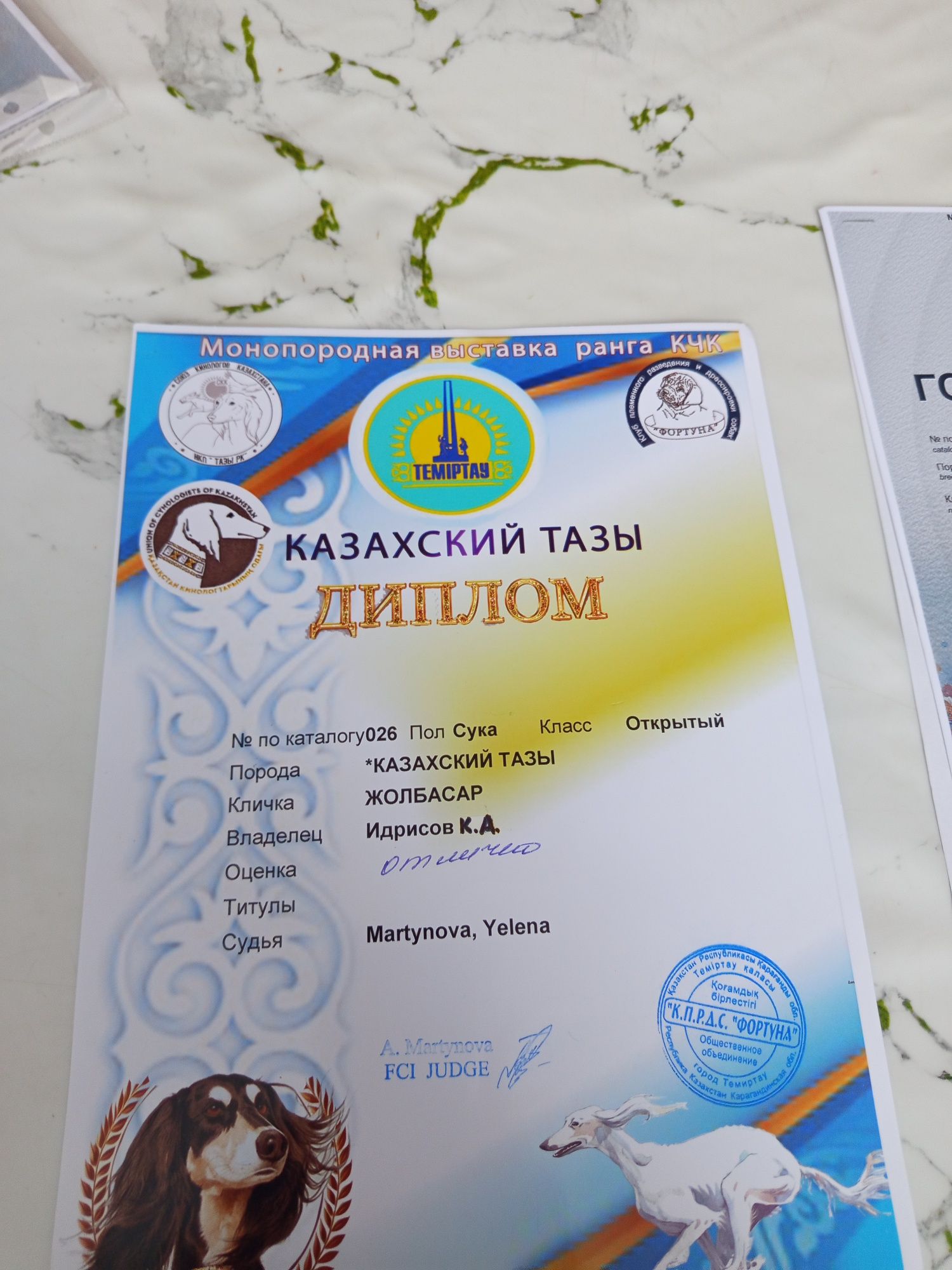 Сұлу тазы сатылады