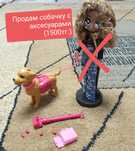 Продам собачку с аксесуарами