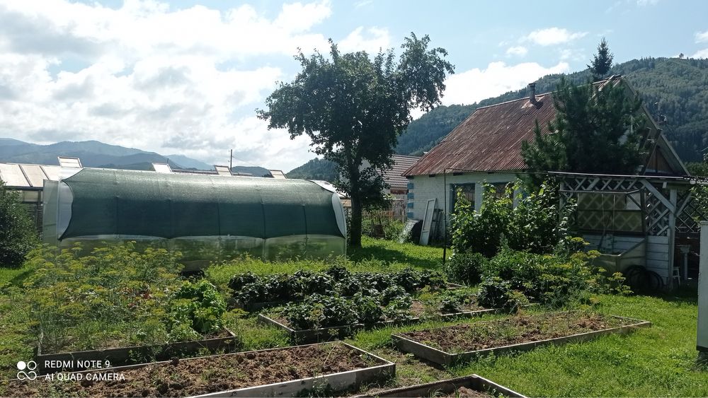 Продам дом-дачу