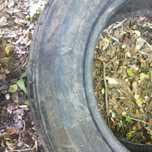 Резина triangle 205/65r15