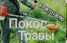 Шөп шабамыз-покос травы Алматы-Алматы обл