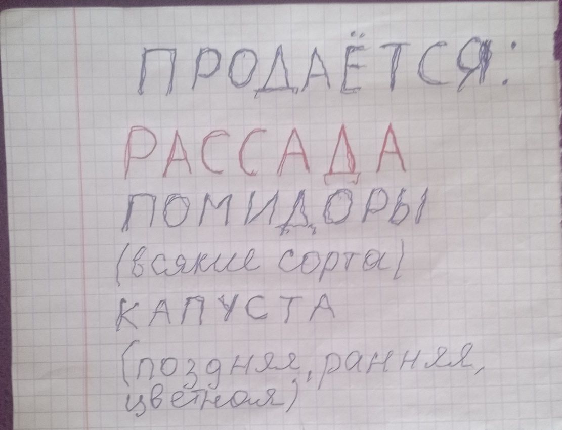 Продоётся рассада