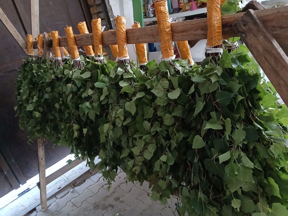 Березовые веники АСТАНА