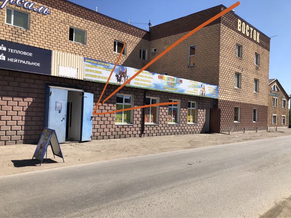 Клетка для волнистых и средних попугаев