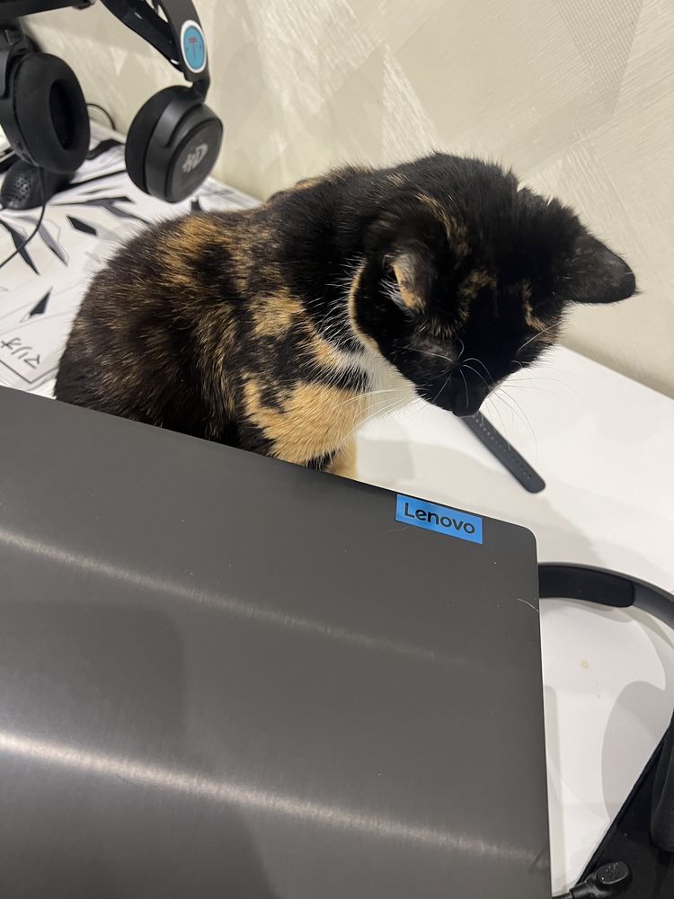 Ноутбук Lenovo