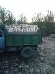 Дрова90тыс.береза 120