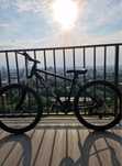 Мтб Mtb есть торг есть обмен