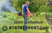 шөп шабамыз косим