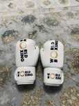 Перчатки Sting World Boxing 10oz