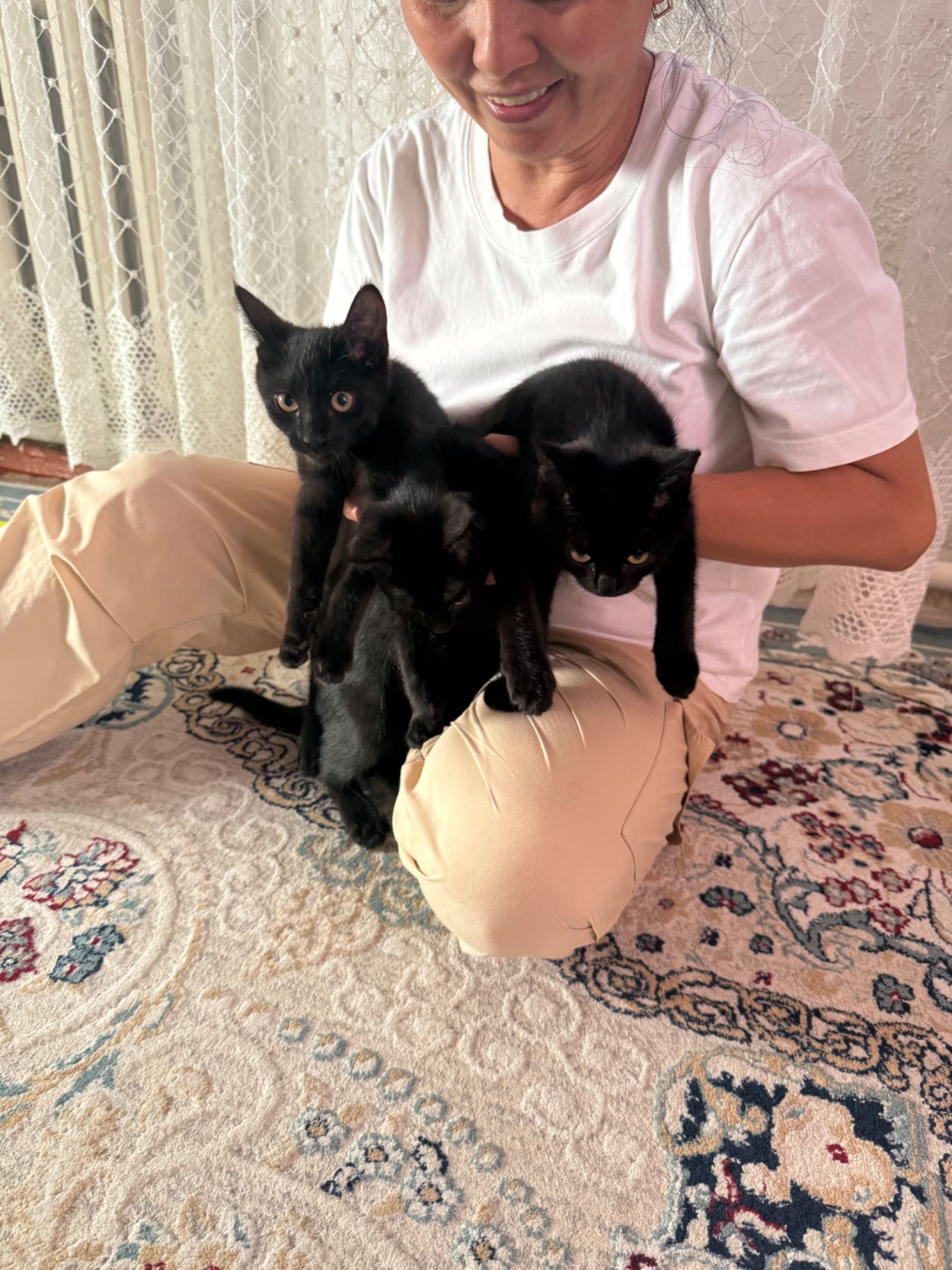 Кошки  девочка и мальчик