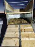 Услуги Скотовоза Газель 4,20