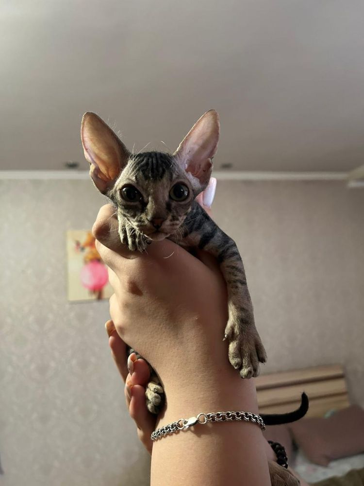 Донские малыши.