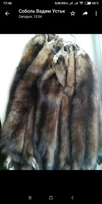 продам шкурки соболя